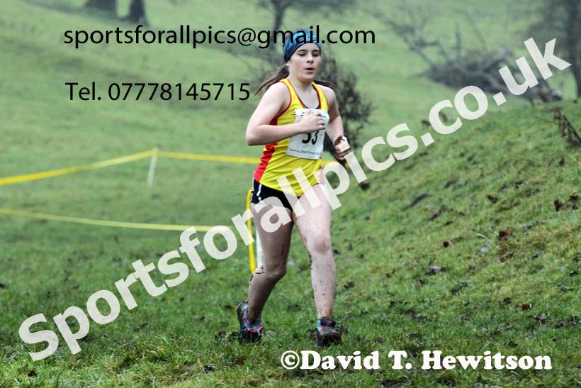 Girls under-15s, NECAA Junior Cross Country Relays, Thornley Farm, Peterlee, Saturday, December 12th. Photo: David T. Hewitson/Sports for All Pics